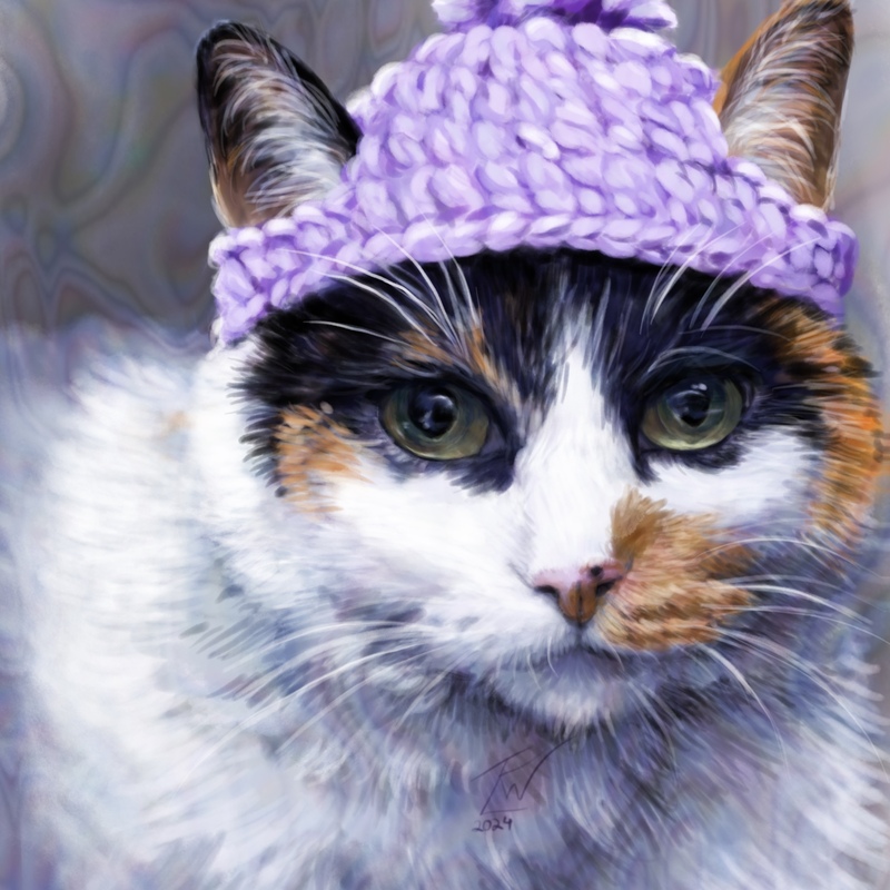 2024/11 Cat named Mei in a crocheted toque