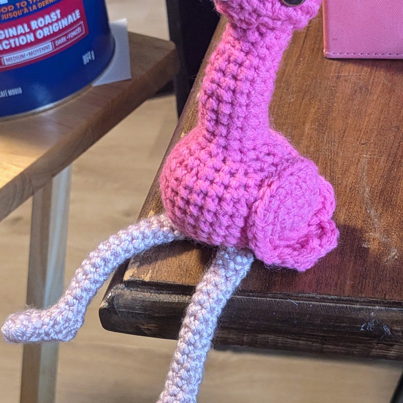 2026/06 Sitting flamingo