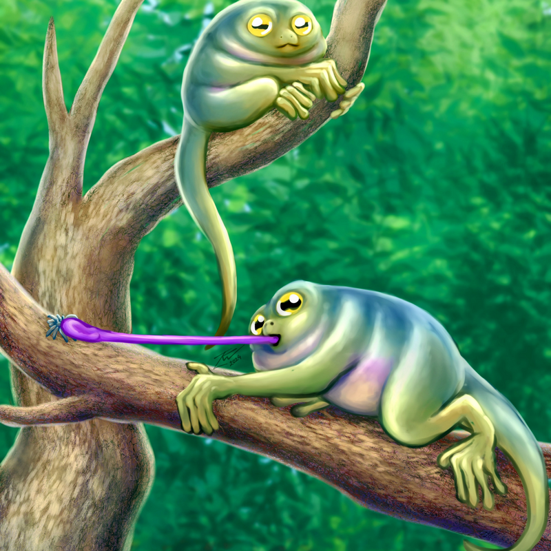 2024/09 "Tarsier frogs" combination of tarsier and frog, creature design challenge