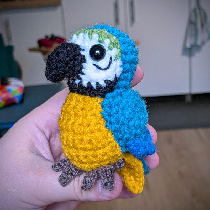 2026/05 Blue-and-gold macaw