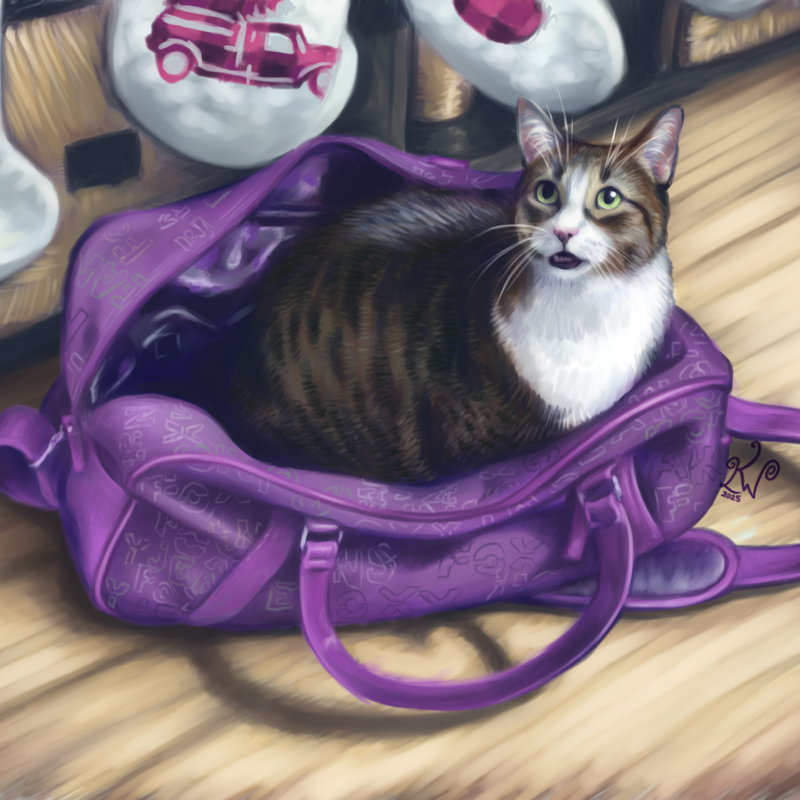 2025/01 Cat named Tai in a duffel bag
